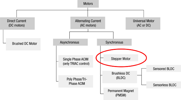 Structure of motors